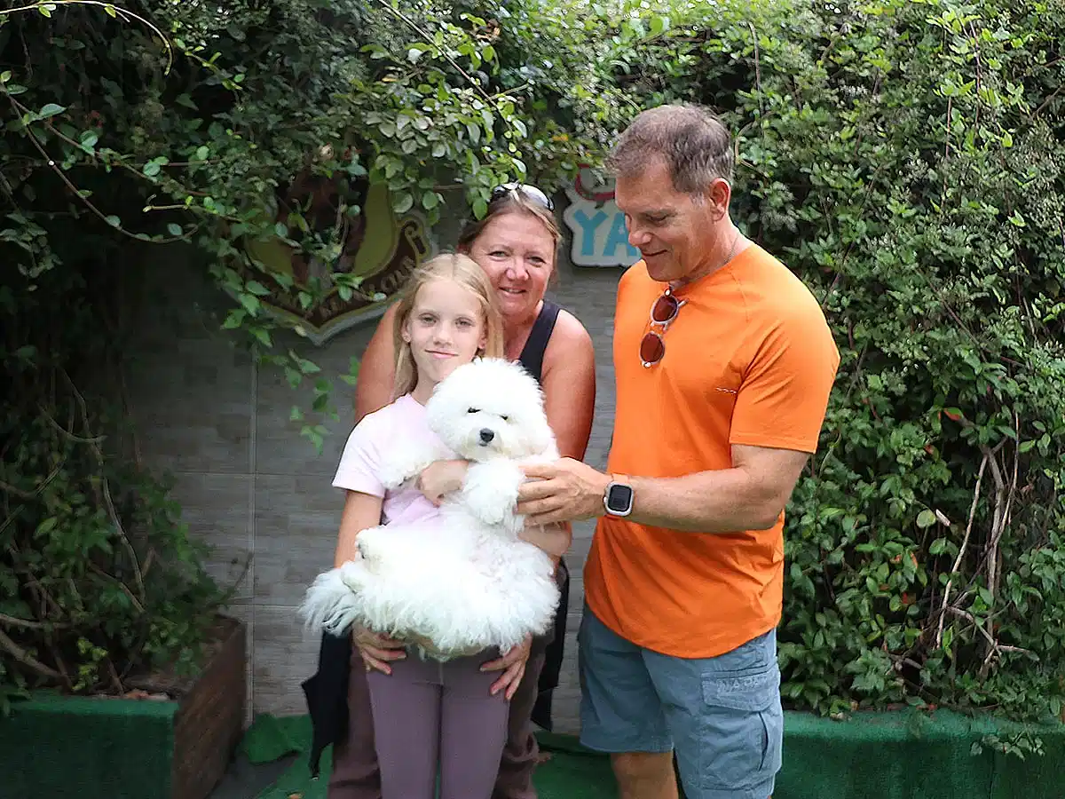 Sürer ailesi Bichon yavrularına kavuştular