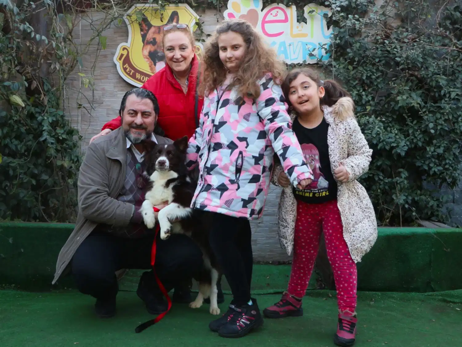 Polat Ailesi Border Collie kızlarına kavuştular