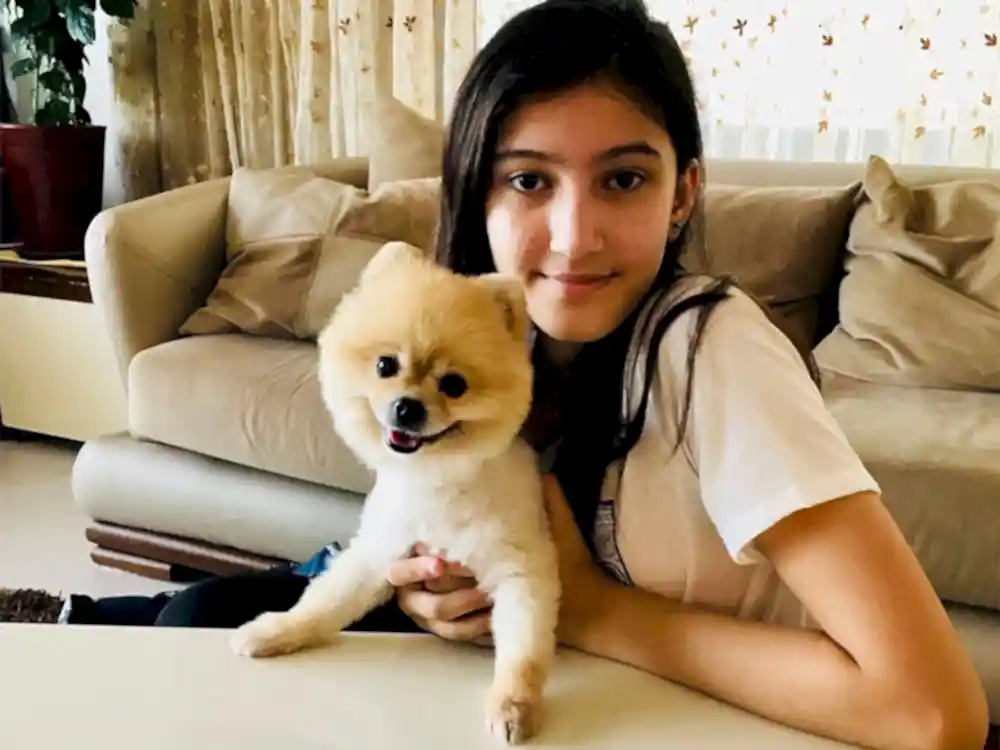 Pomeranian Rıfkı, tuvalet eğitimini başarıyla tamamladı