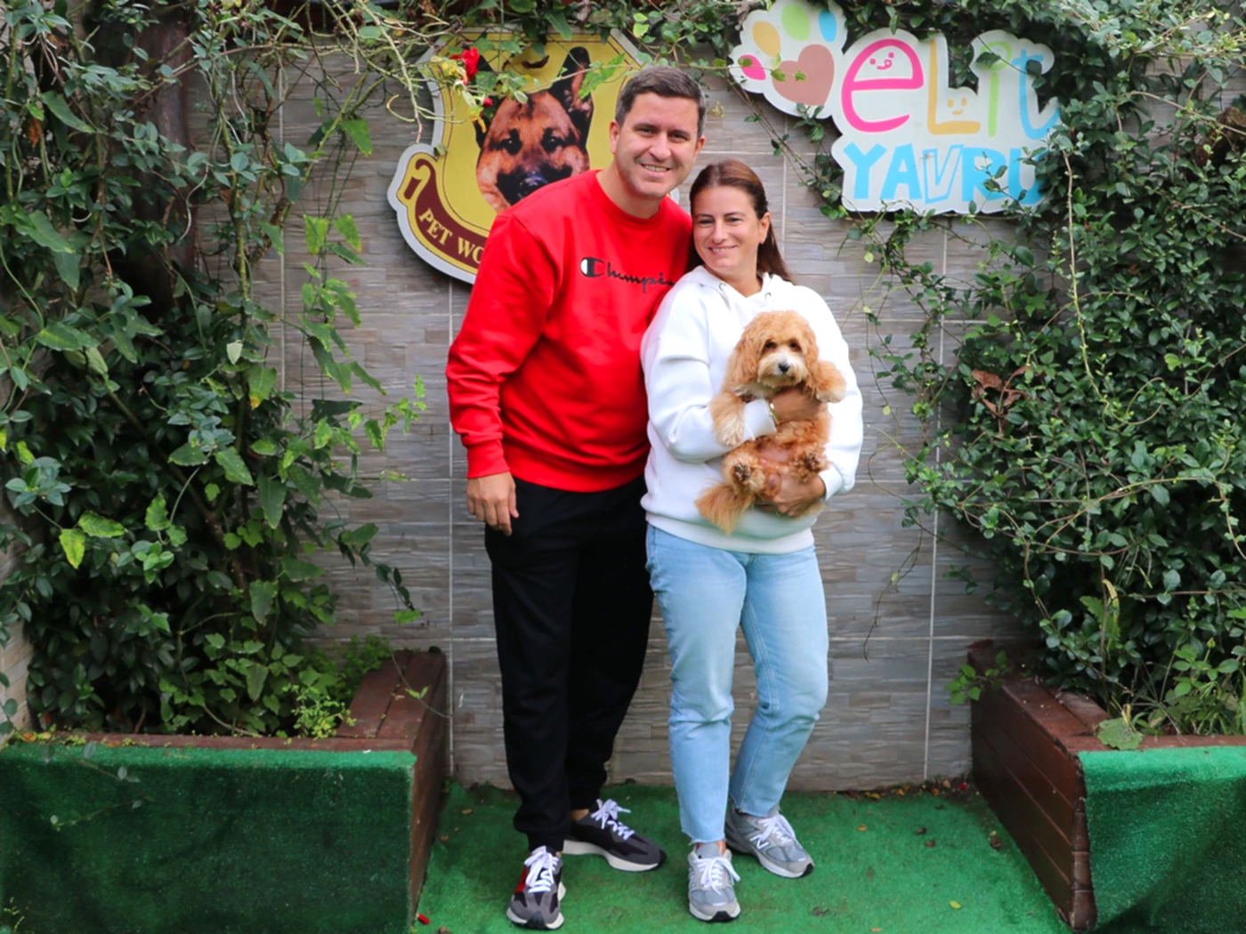 Şardan ailesi Maltipoo yavrularına kavuştular