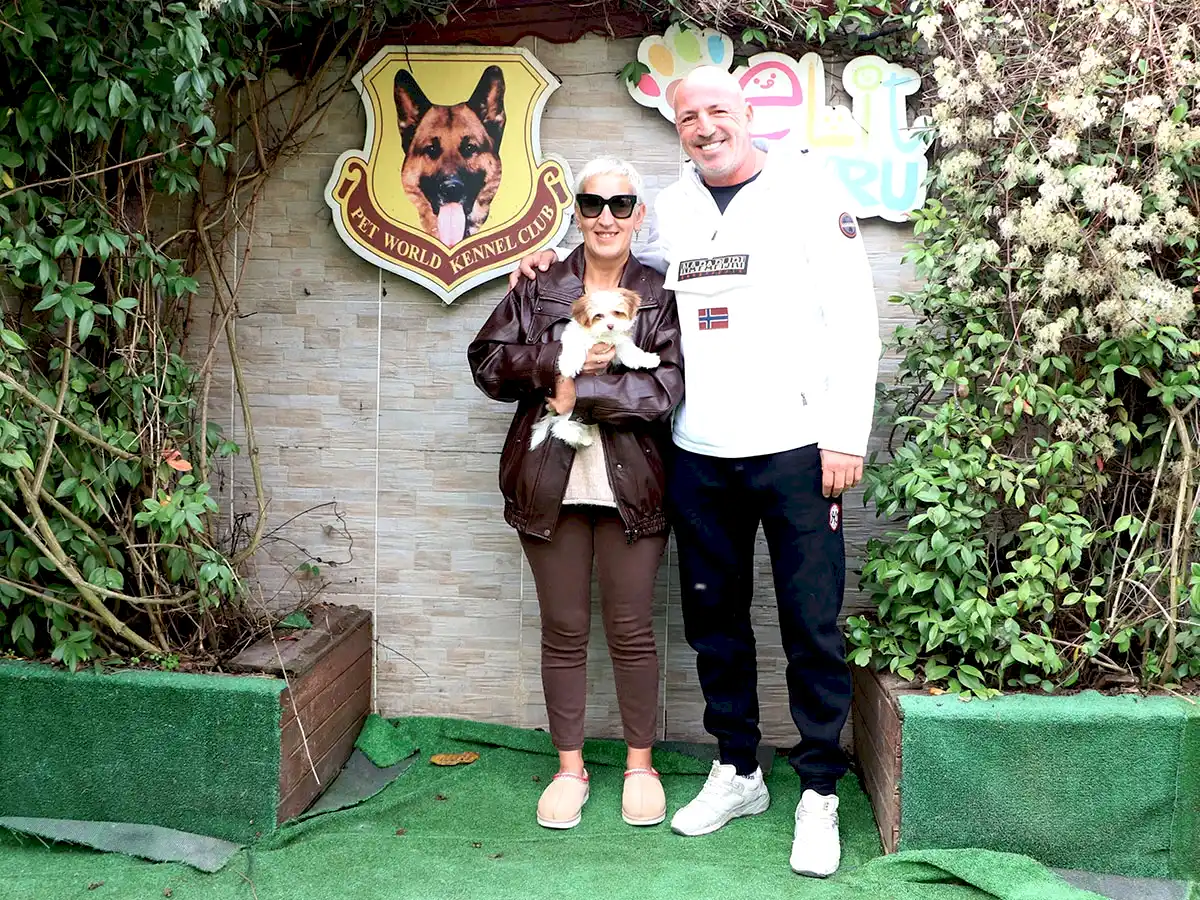 Çikolata Morkie yavrumuz Serap Özler’in ailesine katıldı