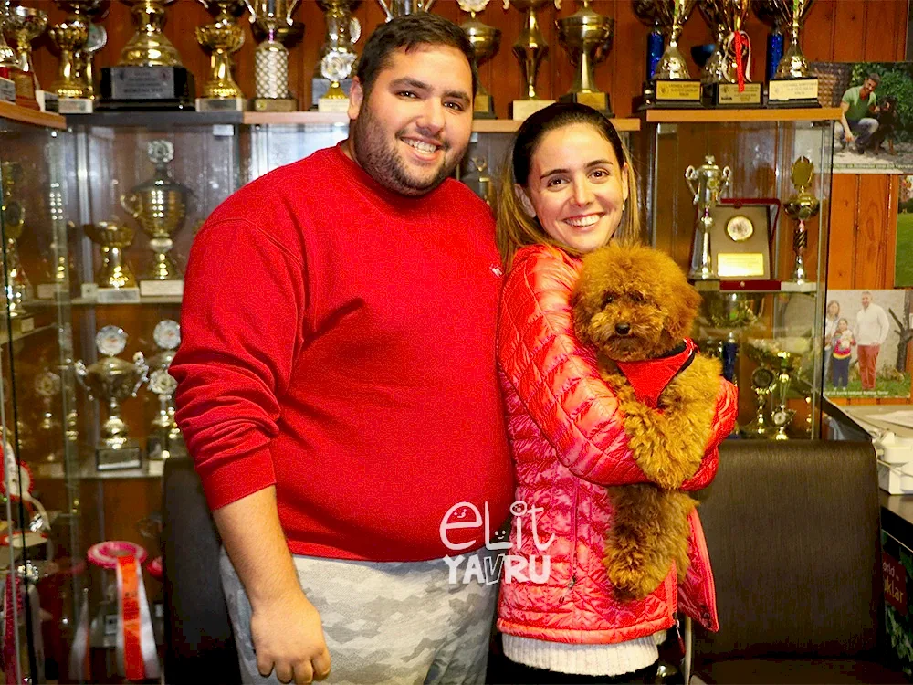 Sercan&Duygu çifti, Toy Poodle elit yavru sahibi oldu