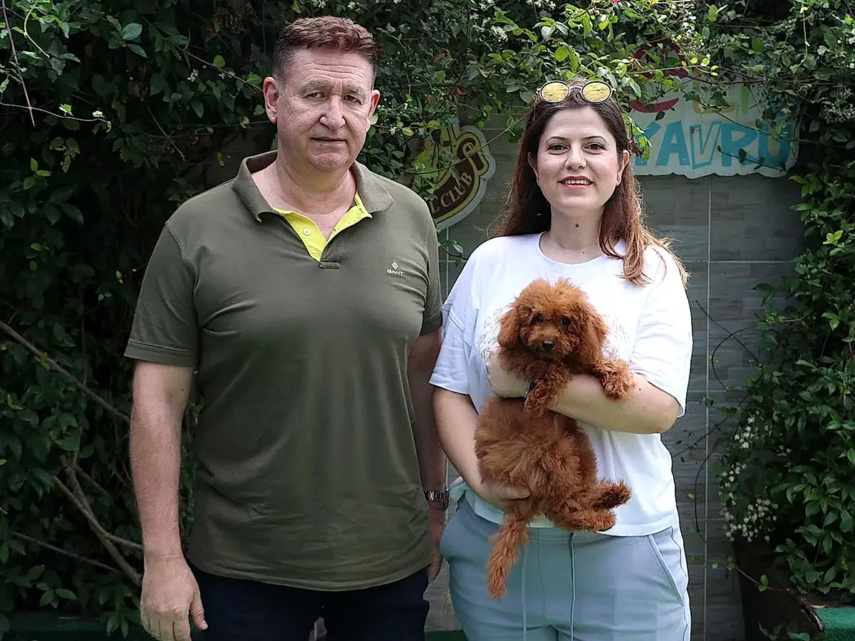 Bursa'dan Ümran Hanım ve ailesi Poodle kızlarına kavuştular