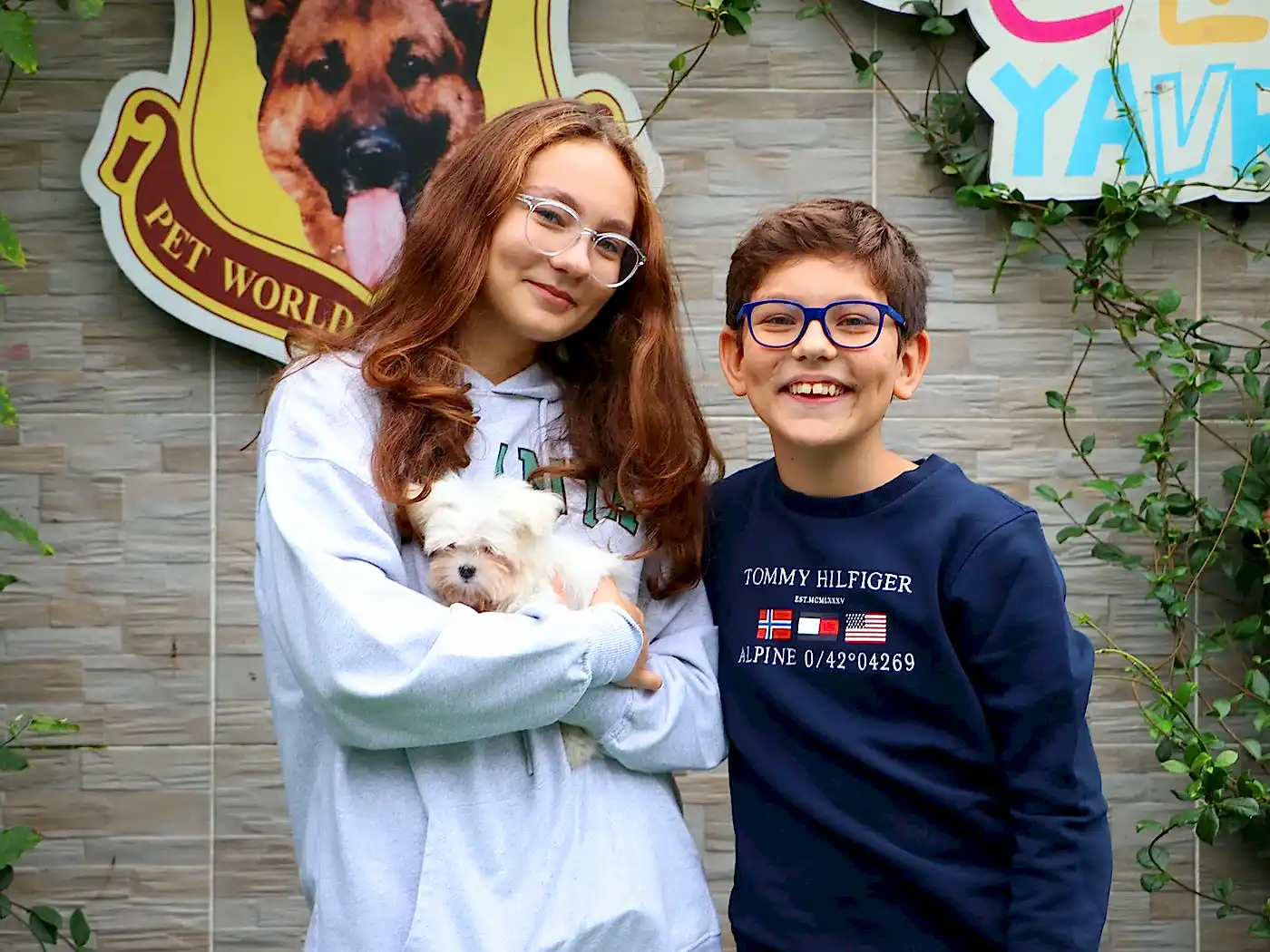 Yörük ailesi Microteacup Morkie yavrularına kavuştular