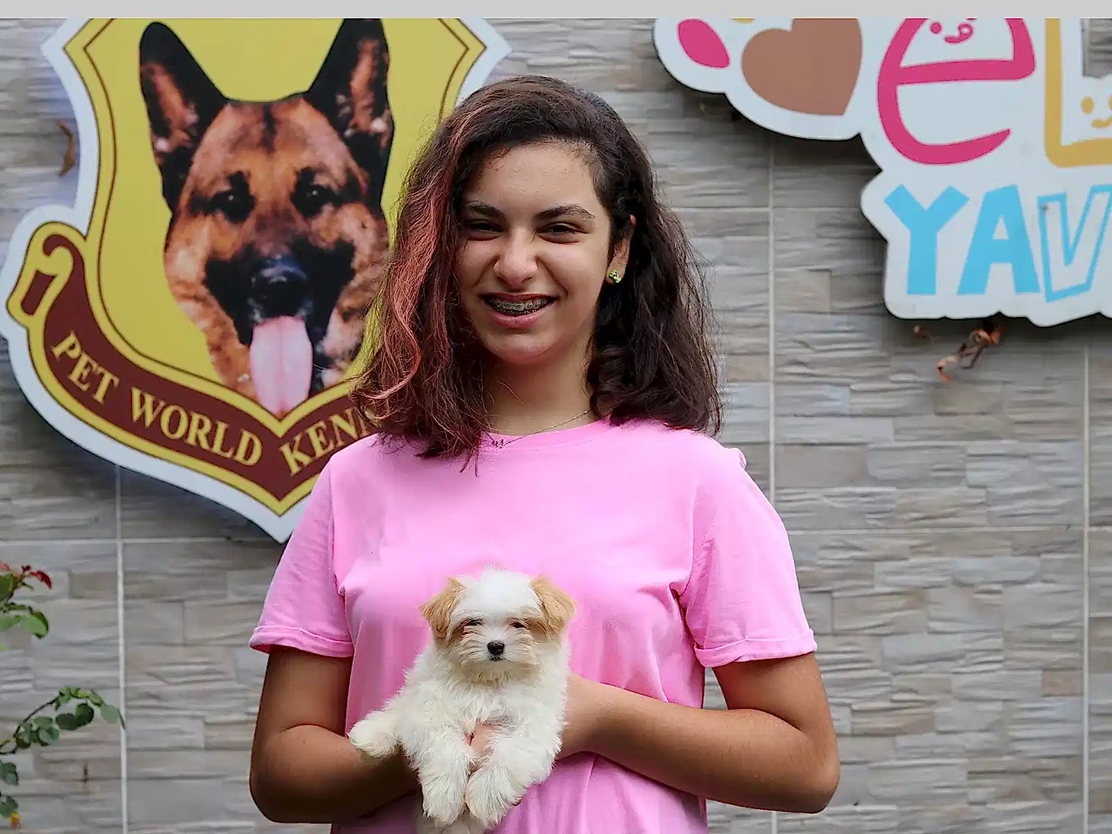 Zeynep Minik Morkie Dostu Mia'ya kavuştu