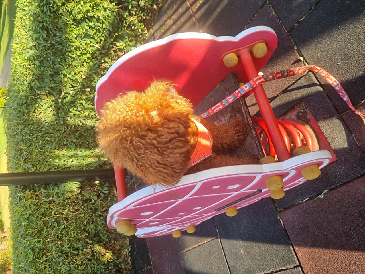 Kizim Mia ya eş ariyorum