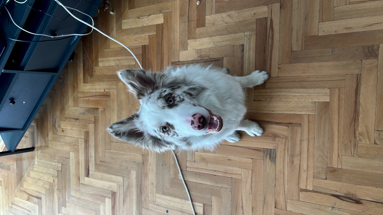 Oğlumuz Alber e eş arıyoruz